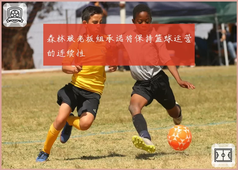 森林狼老板组承诺将保持篮球运营的连续性