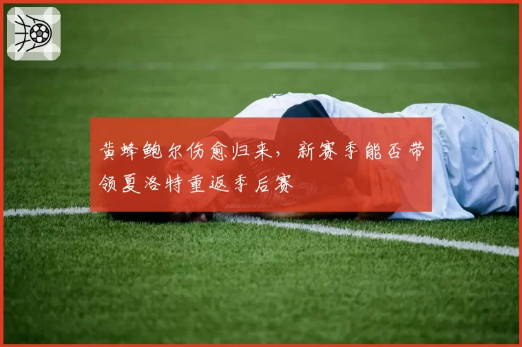 黄蜂鲍尔伤愈归来，新赛季能否带领夏洛特重返季后赛
