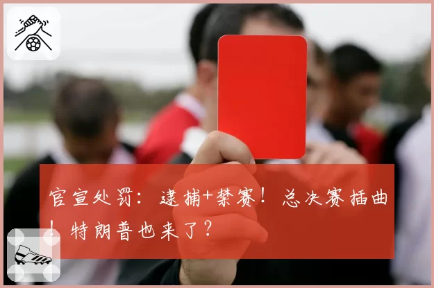 官宣处罚：逮捕+禁赛！总决赛插曲！特朗普也来了？