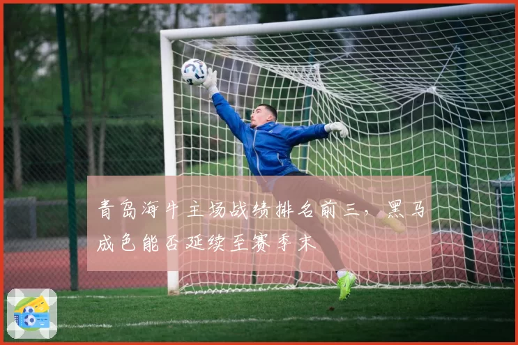 青岛海牛主场战绩排名前三，黑马成色能否延续至赛季末
